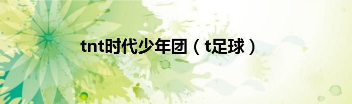 tnt时代少年团（t足球）