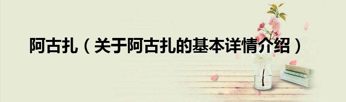 阿古扎（关于阿古扎的基本详情介绍）