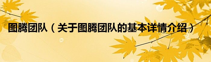 图腾团队（关于图腾团队的基本详情介绍）