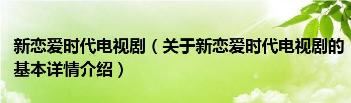 新恋爱时代电视剧（关于新恋爱时代电视剧的基本详情介绍）