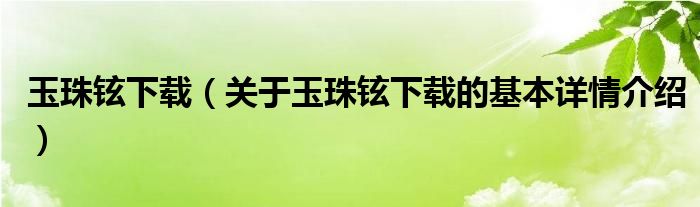 玉珠铉下载（关于玉珠铉下载的基本详情介绍）