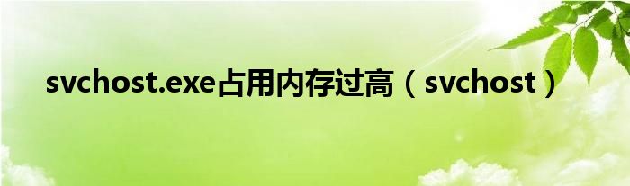 svchost.exe占用内存过高（svchost）