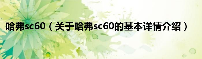 哈弗sc60（关于哈弗sc60的基本详情介绍）