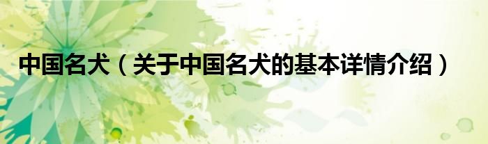 中国名犬（关于中国名犬的基本详情介绍）