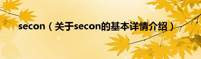 secon（关于secon的基本详情介绍）