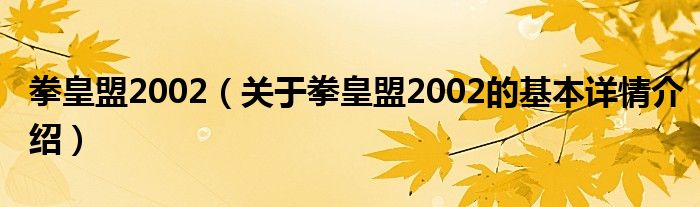 拳皇盟2002（关于拳皇盟2002的基本详情介绍）