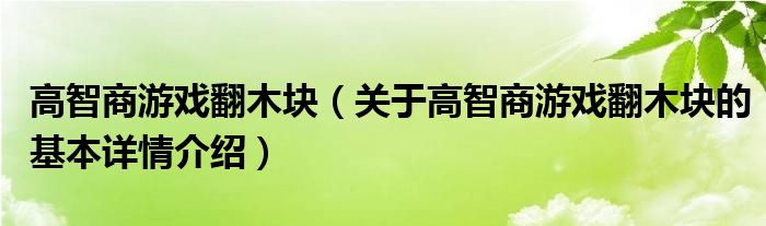 高智商游戏翻木块（关于高智商游戏翻木块的基本详情介绍）