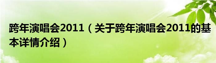 跨年演唱会2011（关于跨年演唱会2011的基本详情介绍）