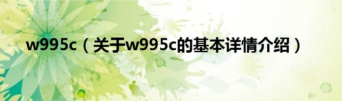 w995c（关于w995c的基本详情介绍）