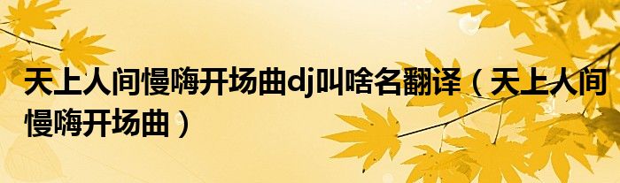 天上人间慢嗨开场曲dj叫啥名翻译（天上人间慢嗨开场曲）
