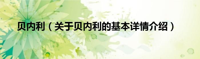 贝内利（关于贝内利的基本详情介绍）