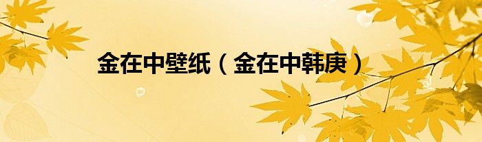 金在中壁纸（金在中韩庚）