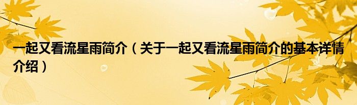 一起又看流星雨简介（关于一起又看流星雨简介的基本详情介绍）