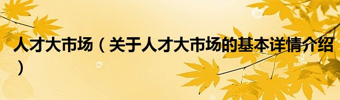 人才大市场（关于人才大市场的基本详情介绍）