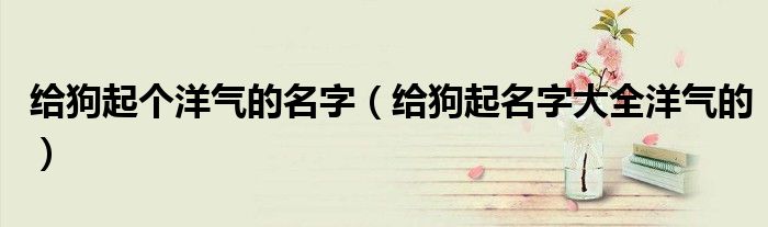 给狗起个洋气的名字（给狗起名字大全洋气的）