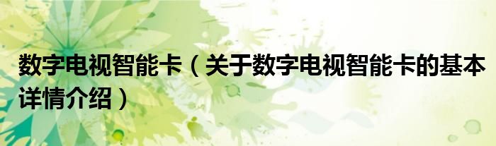 数字电视智能卡（关于数字电视智能卡的基本详情介绍）