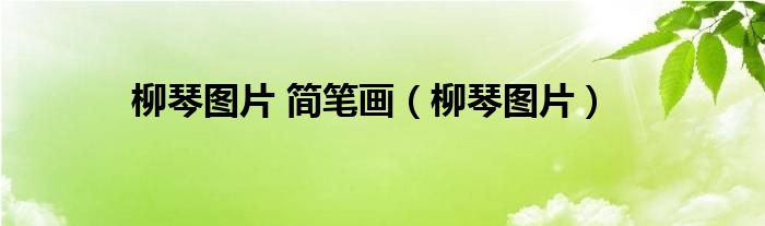 柳琴图片 简笔画（柳琴图片）