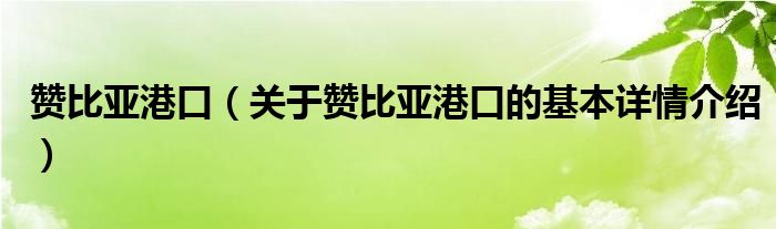 赞比亚港口（关于赞比亚港口的基本详情介绍）
