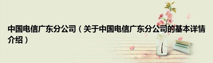 中国电信广东分公司（关于中国电信广东分公司的基本详情介绍）