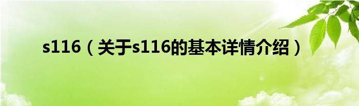 s116（关于s116的基本详情介绍）