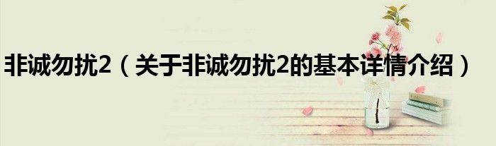 非诚勿扰2（关于非诚勿扰2的基本详情介绍）