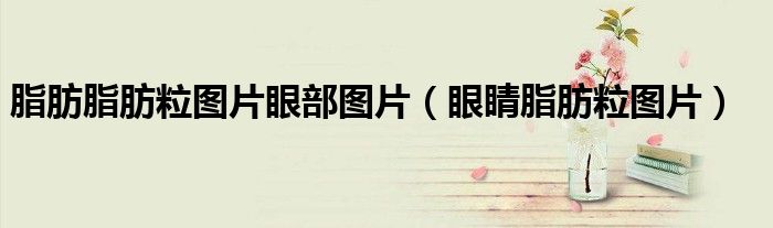 脂肪脂肪粒图片眼部图片（眼睛脂肪粒图片）