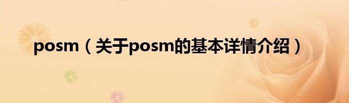 posm（关于posm的基本详情介绍）