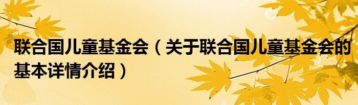 联合国儿童基金会（关于联合国儿童基金会的基本详情介绍）