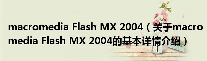 macromedia Flash MX 2004（关于macromedia Flash MX 2004的基本详情介绍）