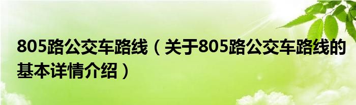 805路公交车路线（关于805路公交车路线的基本详情介绍）