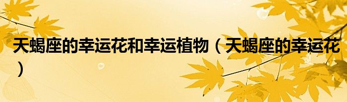 天蝎座的幸运花和幸运植物（天蝎座的幸运花）