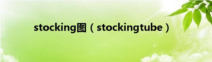 stocking图（stockingtube）