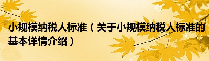小规模纳税人标准（关于小规模纳税人标准的基本详情介绍）