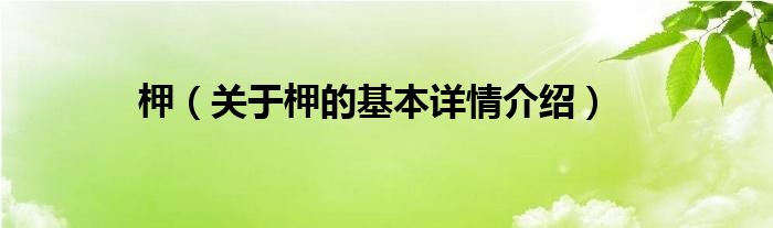 柙（关于柙的基本详情介绍）