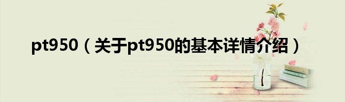 pt950（关于pt950的基本详情介绍）