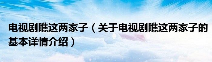 电视剧瞧这两家子（关于电视剧瞧这两家子的基本详情介绍）
