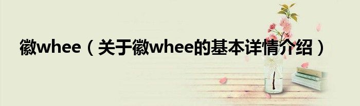 徽whee（关于徽whee的基本详情介绍）