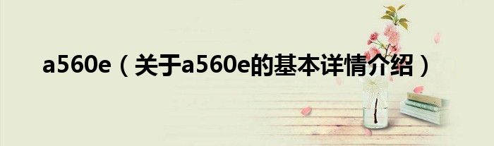 a560e（关于a560e的基本详情介绍）