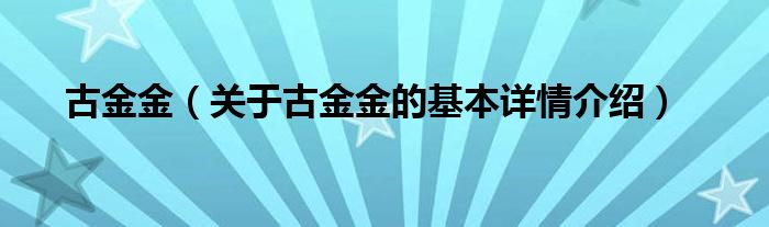 古金金（关于古金金的基本详情介绍）