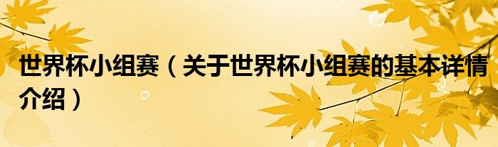 世界杯小组赛（关于世界杯小组赛的基本详情介绍）