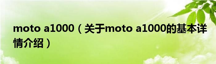 moto a1000（关于moto a1000的基本详情介绍）