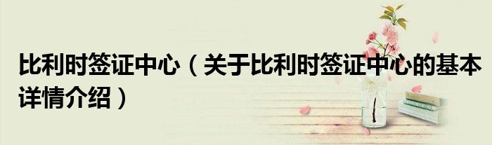比利时签证中心（关于比利时签证中心的基本详情介绍）