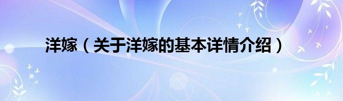 洋嫁（关于洋嫁的基本详情介绍）