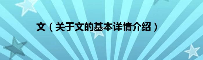文（关于文的基本详情介绍）
