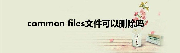 common files文件可以删除吗