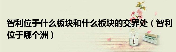 智利位于什么板块和什么板块的交界处（智利位于哪个洲）