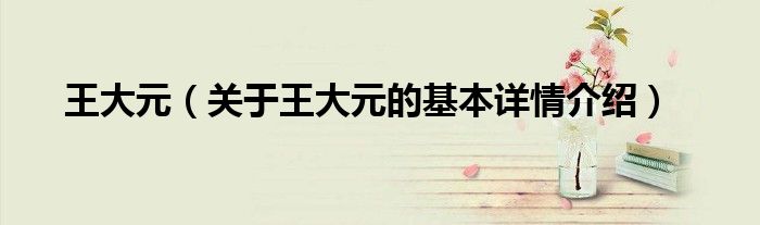 王大元（关于王大元的基本详情介绍）