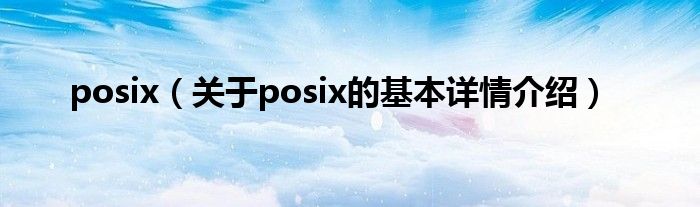 posix（关于posix的基本详情介绍）