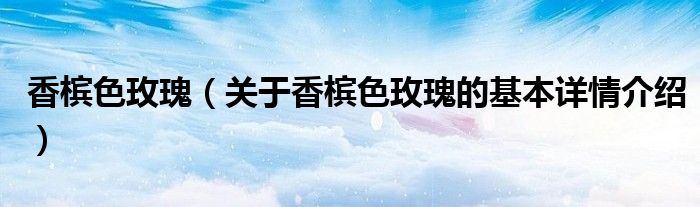 香槟色玫瑰（关于香槟色玫瑰的基本详情介绍）