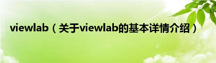 viewlab（关于viewlab的基本详情介绍）